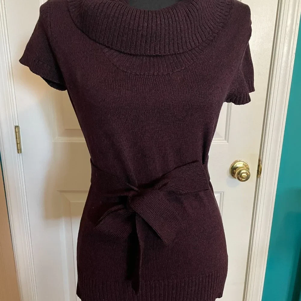 Like New! INC International Concepts Plum Short Sleeve Silk Blend Sweater Size S - Picture 11 of 15